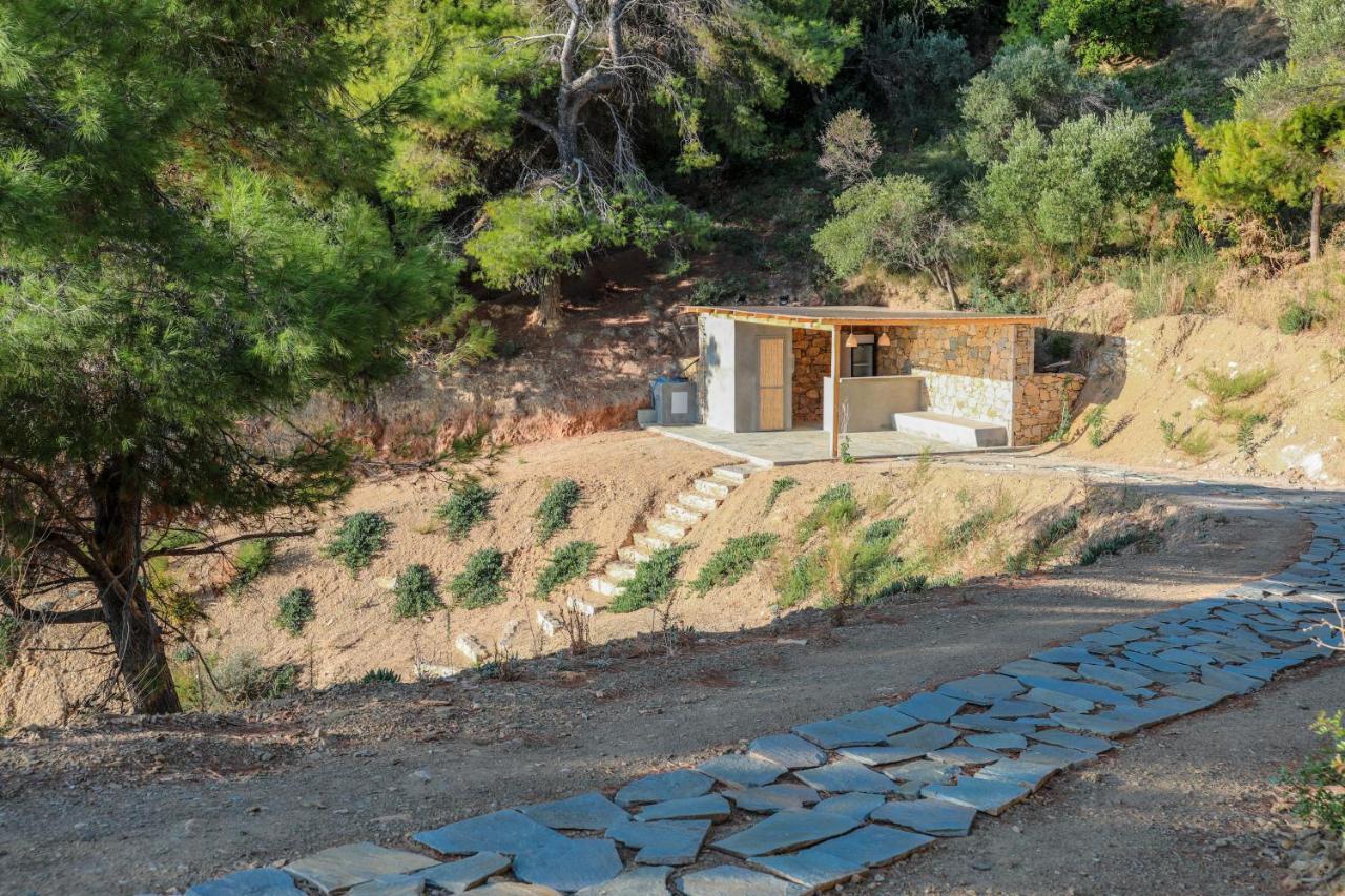 Thalasses Villas Skiathos Punta Exteriér fotografie