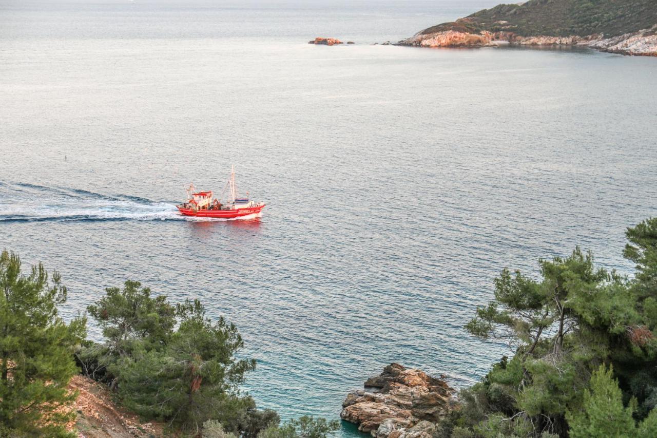 Thalasses Villas Skiathos Punta Exteriér fotografie
